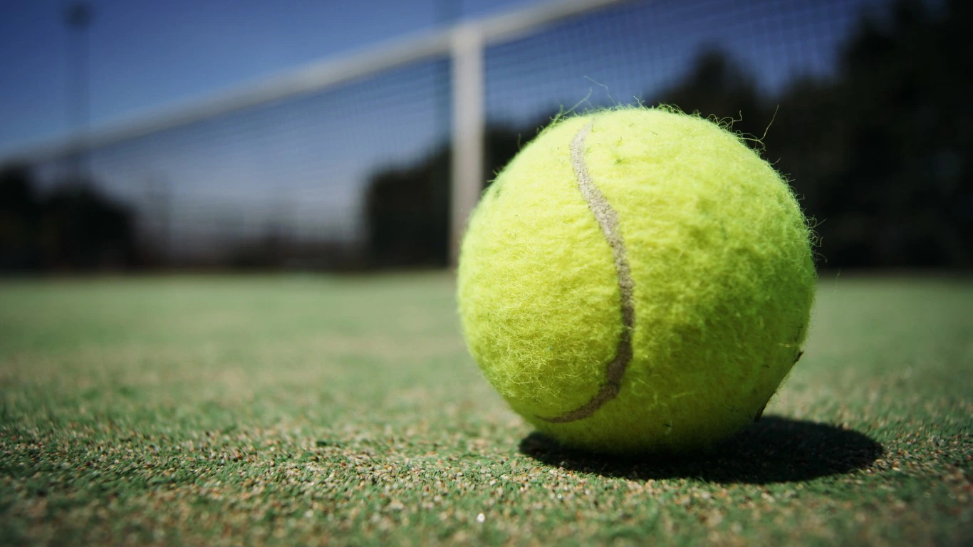Tenis Topu Markaları